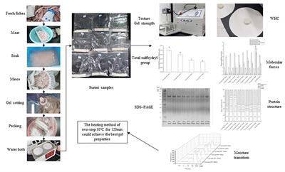 The effect of heating method on the gel structures and properties of surimi prepared from Bombay duck (Harpadon nehereus)